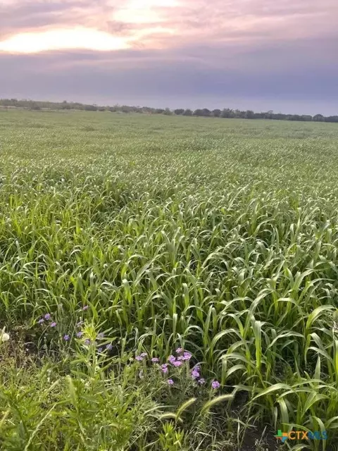 tbd Private Road 3642, Copperas Cove, TX 76522
