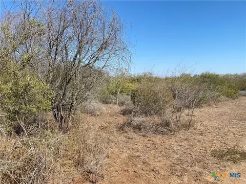 00 Cr 3081, Orange Grove, TX 78372