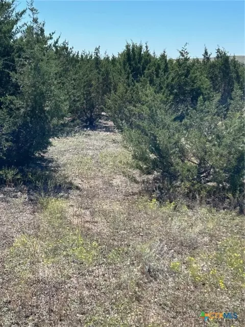 101 Cedar Hill Dr, Gatesville, TX 76528