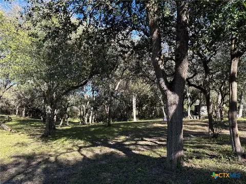 2168 River Oaks, Skidmore, TX 78389