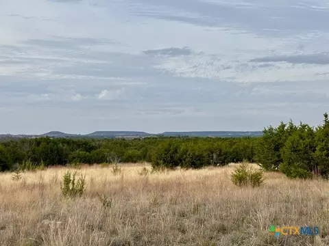 Unassigned County Road 3270, Kempner, TX 76539