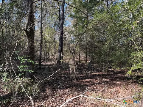 tbd County Road 301 Tract 7, Fairfield, TX 75855