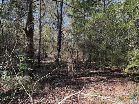 tbd County Road 301 Tract 7, Fairfield, TX 75855