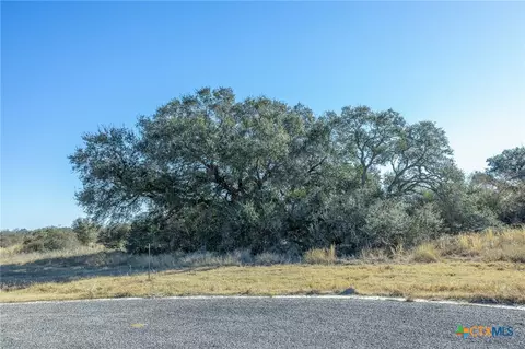 000 Briarhill Road Blk 3 #LOT 4, Inez, TX 77968