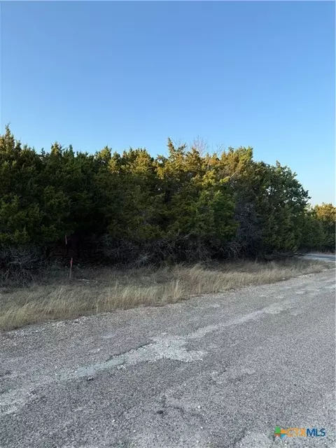 5242 Comanche Dr, Temple, TX 76502 photo 4