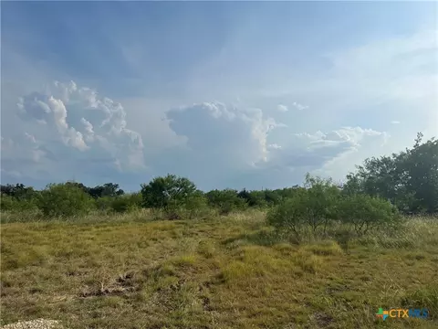tbd County Road 421, Evant, TX 76525