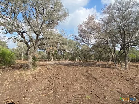 1776 Fm 1351, Goliad, TX 77963