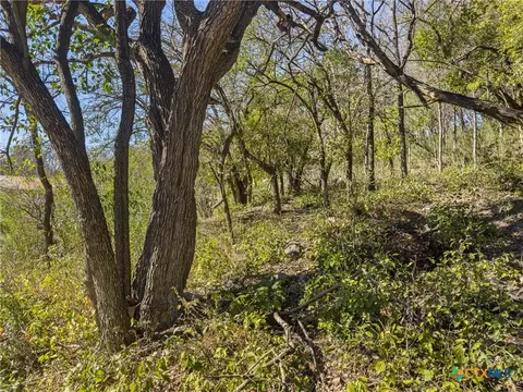 595 Dittlinger St, New Braunfels, TX 78130