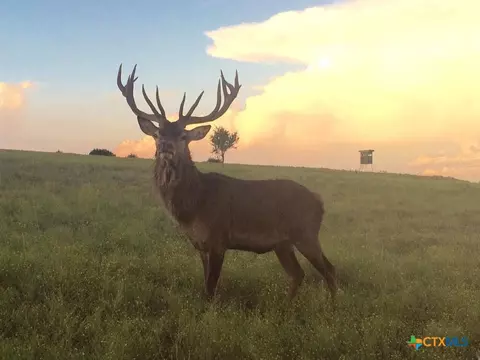 208 County Road, Lampasas, TX 76550