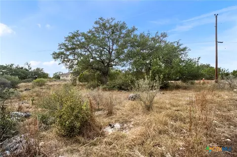 137 Red Tail Cv, Spring Branch, TX 78070