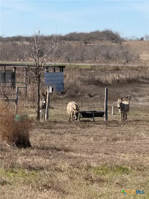 Other - 9684 Fm 437, Rogers, TX 76569 photo 6 of 17