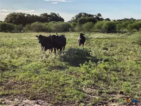 tbd Fm 1447, Cuero, TX 77954 photo 41