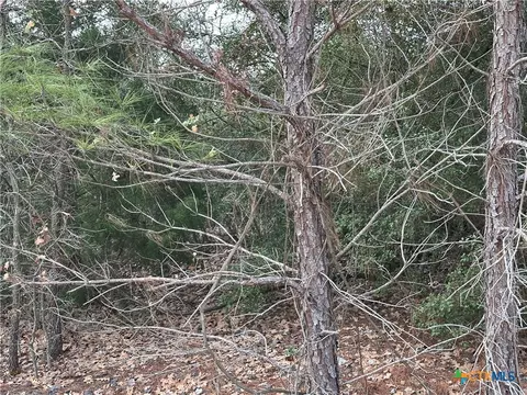 tbd Pine Hill Loop, Bastrop, TX 78602 photo 4