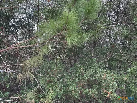 tbd Pine Hill Loop, Bastrop, TX 78602 photo 2