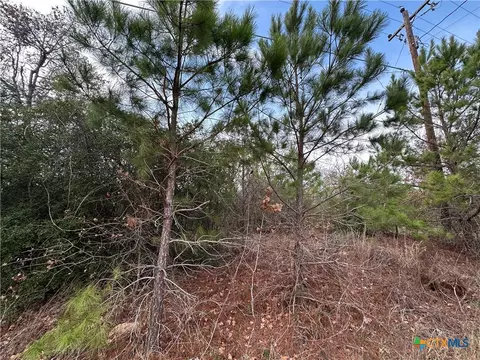 tbd Pine Hill Loop, Bastrop, TX 78602 photo 6