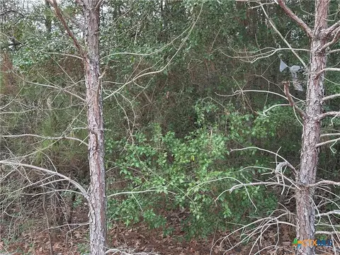 tbd Pine Hill Loop, Bastrop, TX 78602