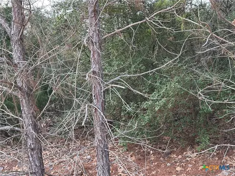 tbd Pine Hill Loop, Bastrop, TX 78602 photo 3