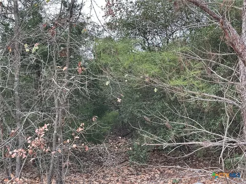 tbd Pine Hill Loop, Bastrop, TX 78602 photo 5