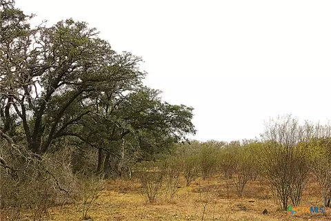 0 Fm 3353, Kingsbury, TX 78638
