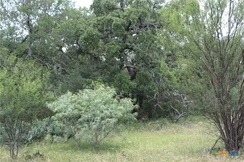 0 Fm 3353, Kingsbury, TX 78638