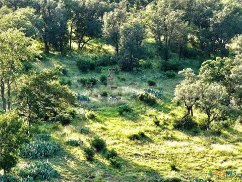 lot4 County Road 220, Briggs, TX 78608