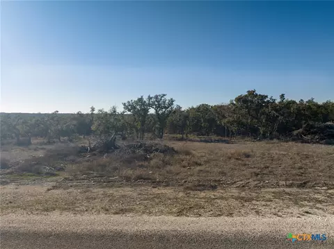 642 Windmill Ridge Dr, Blanco, TX 78606 photo 8