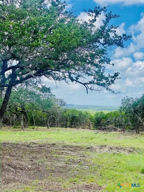 642 Windmill Ridge Dr, Blanco, TX 78606 photo 2