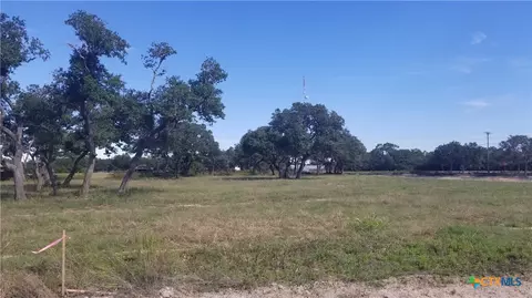 000 Enchanted Oaks, Inez, TX 77968
