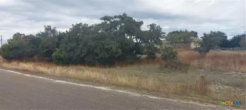 106 Jacob Dearing, Blanco, TX 78606 photo 2