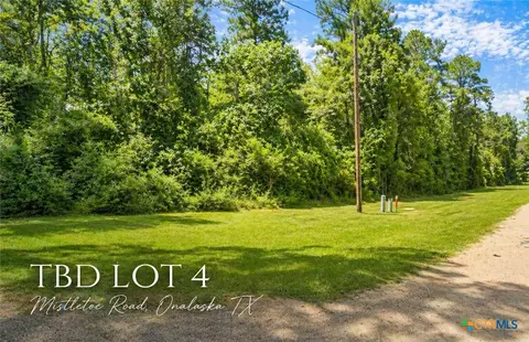 tbd Mistletoe St, Onalaska, TX 77360