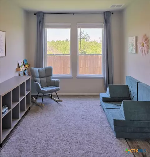 Other - 236 Blue Agate Ct, Jarrell, TX 76537 photo 1 of 5