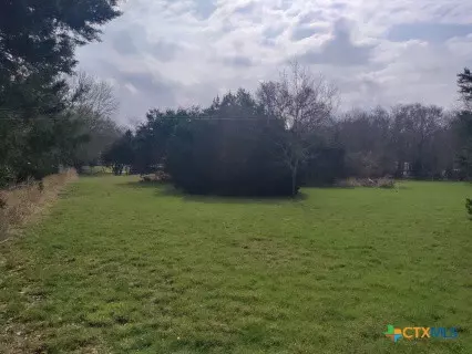 2917 Willow Loop, Kempner, TX 76539 photo 2