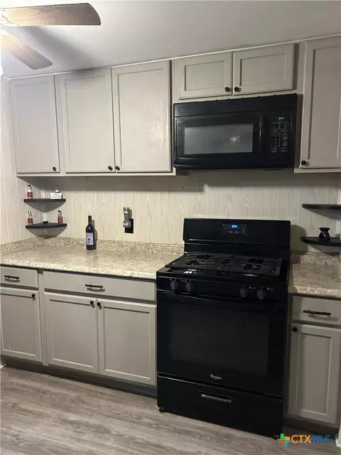 2917 Willow Loop, Kempner, TX 76539 photo 8