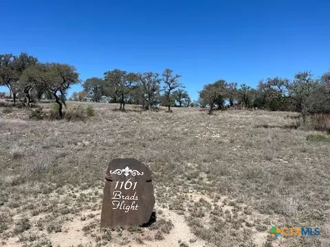 1161 Brads Flight, Canyon Lake, TX 78133