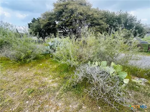 460 Peace Ave, New Braunfels, TX 78130