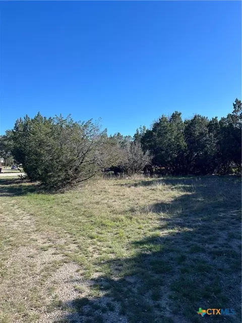 1309 And 1321 Lakeview Dr, Canyon Lake, TX 78133