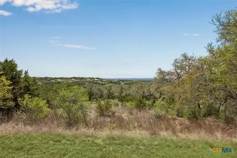 1078 Madrone Rd, Fischer, TX 78623