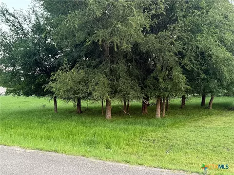 6 Blue Roan Dr, Morgans Point Resort, TX 78163