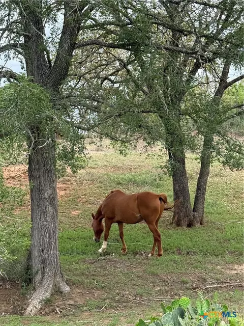 Other - 950 Highsmith Rd, Luling, TX 78648 photo 10 of 14
