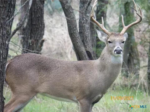 tbd Pr 1789, Bend, TX 76824 photo 21