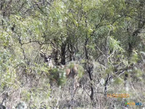 tbd Pr 1789, Bend, TX 76824 photo 19