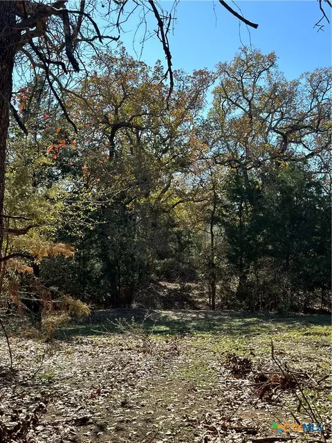 650 Coastal Ln, Luling, TX 78648 photo 22