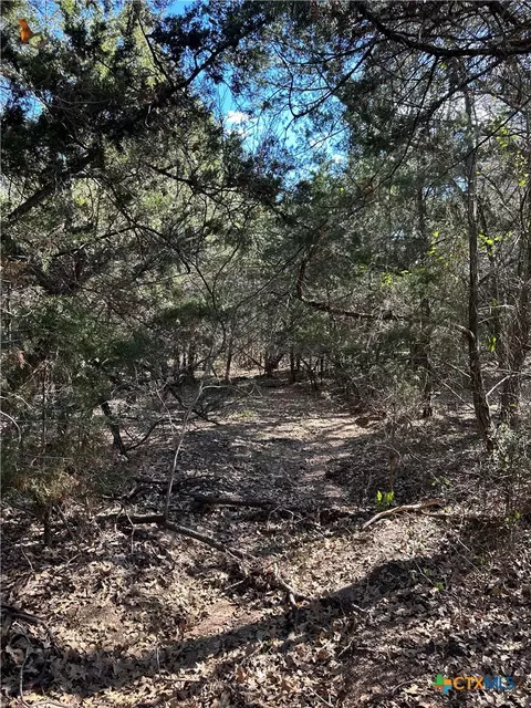 650 Coastal Ln, Luling, TX 78648 photo 12