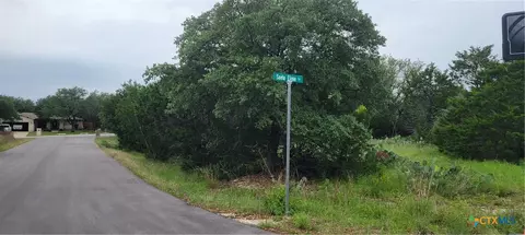 21524 Santa Elena Cir, Lago Vista, TX 78645