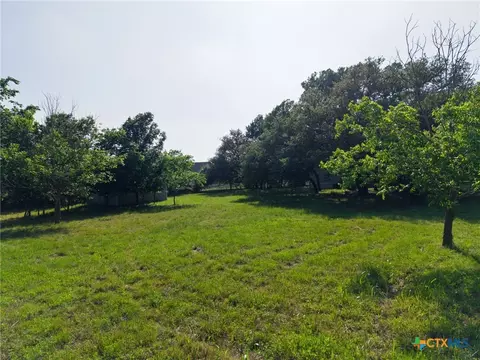 2739 Willow Loop, Kempner, TX 76539 photo 3