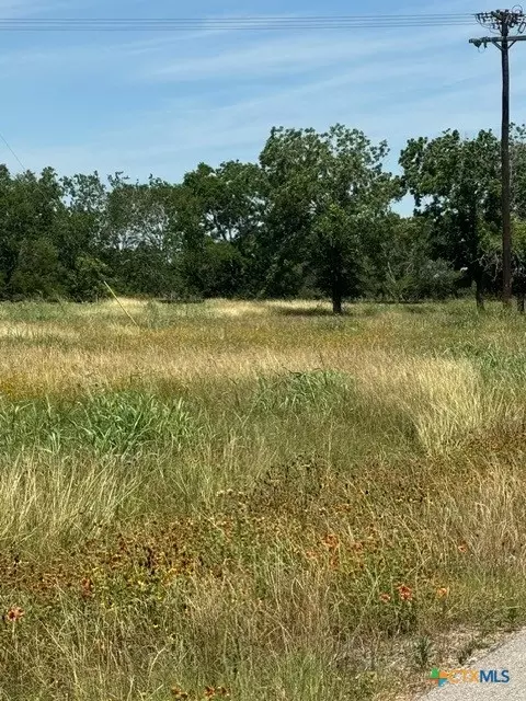 532 Old Gonzales Rd, Cuero, TX 77954