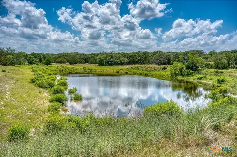 188 Bono Blvd, Briggs, TX 78608