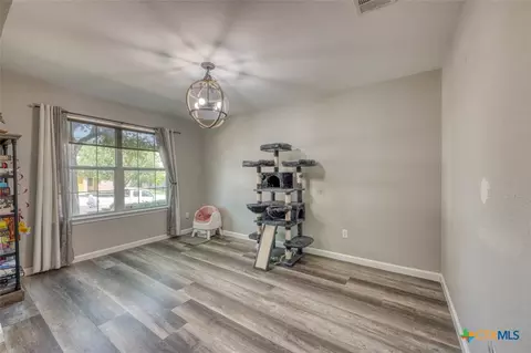 Other - 136 Dandelion Loop, Kyle, TX 78640 photo 1 of 16