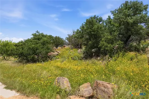 lot30 Peninsula Dr, Burnet, TX 78611