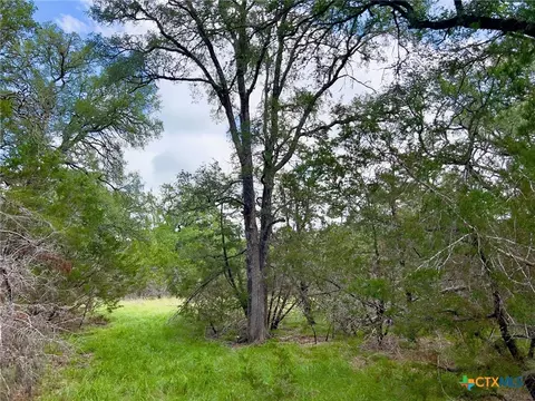 tbd Lot 43a Narrows Rd #1, Blanco, TX 78606